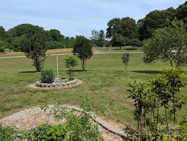 5908 Tanson Trl, Marshville, NC 28103 - photo 22