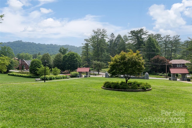 400 Charlotte St Unit 402, Asheville, NC 28801 - photo 34