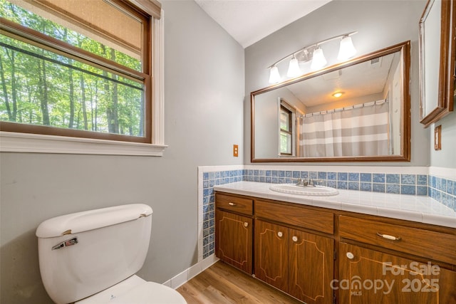 full bath featuring wood finished floors, vanity, and toilet