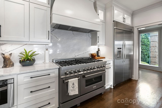 kitchen featuring crown molding, premium range hood, white cabinetry, tasteful backsplash, and stainless steel appliances