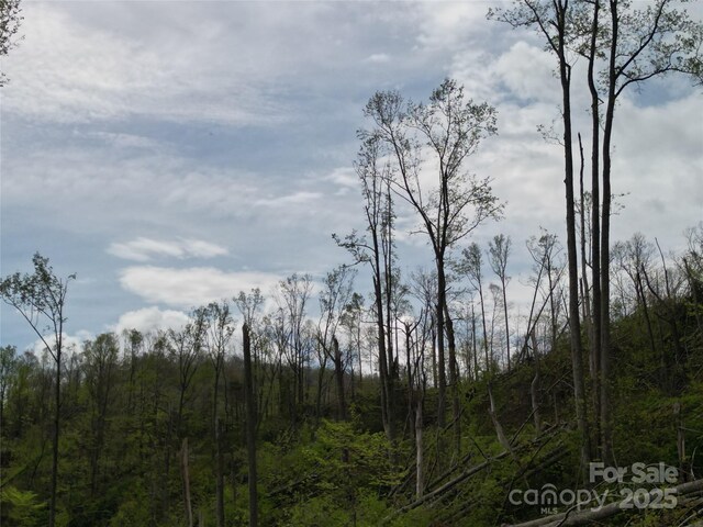 99999 Elk Mountain Scenic Hwy, Asheville, NC 28804