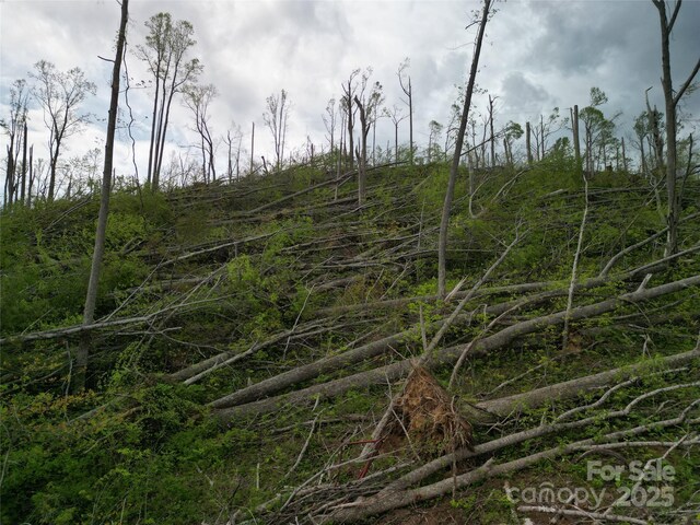 99999 Elk Mountain Scenic Hwy, Asheville, NC 28804