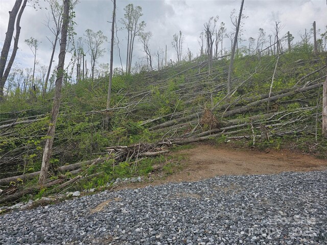 99999 Elk Mountain Scenic Hwy, Asheville, NC 28804