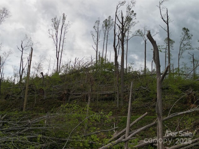99999 Elk Mountain Scenic Hwy, Asheville, NC 28804