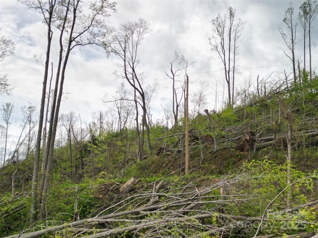 99999 Elk Mountain Scenic Hwy, Asheville, NC 28804