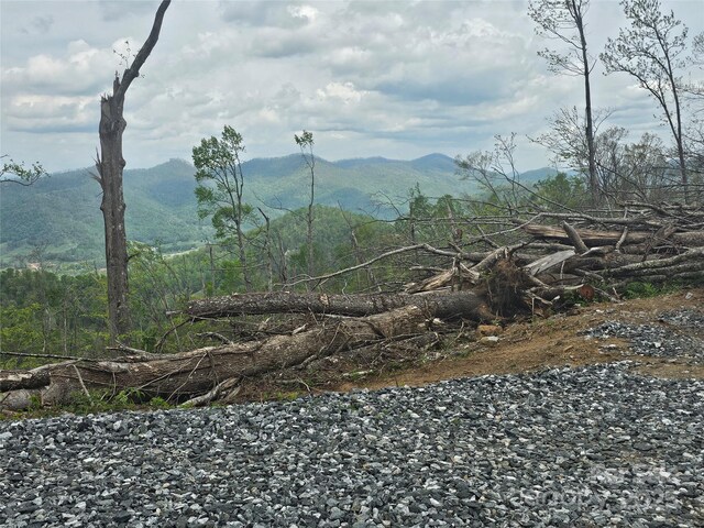 99999 Elk Mountain Scenic Hwy, Asheville, NC 28804
