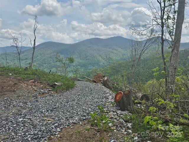 99999 Elk Mountain Scenic Hwy, Asheville, NC 28804