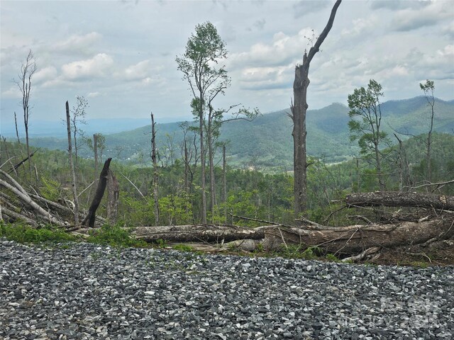 99999 Elk Mountain Scenic Hwy, Asheville, NC 28804