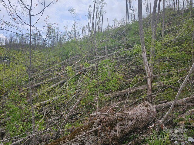 99999 Elk Mountain Scenic Hwy, Asheville, NC 28804