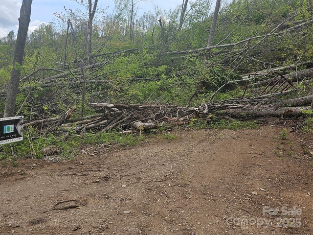 99999 Elk Mountain Scenic Hwy, Asheville, NC 28804