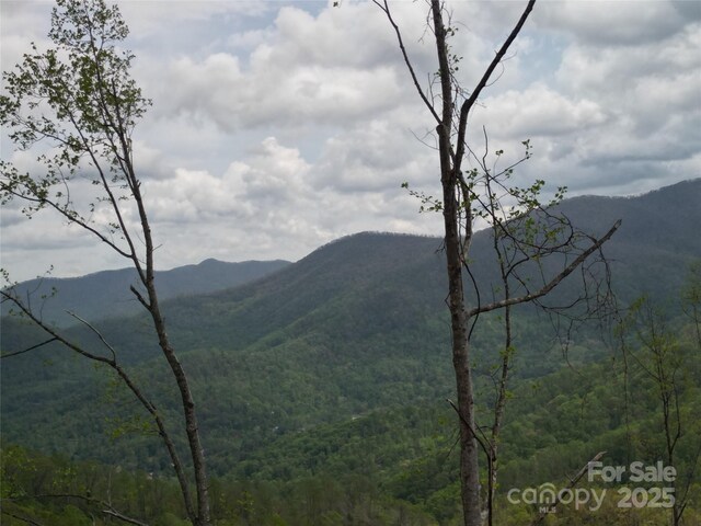 99999 Elk Mountain Scenic Hwy, Asheville, NC 28804