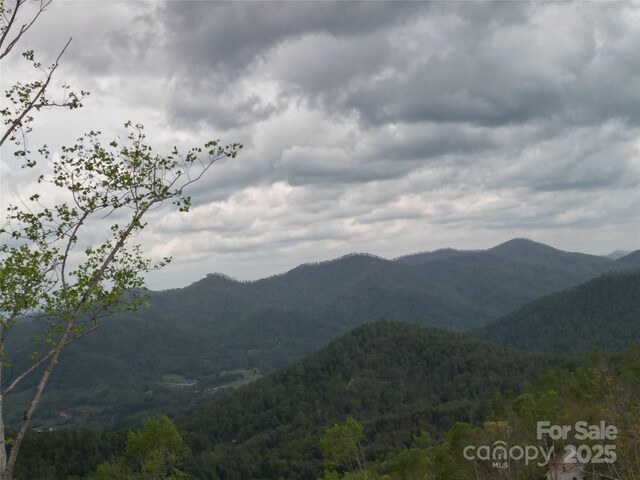 99999 Elk Mountain Scenic Hwy, Asheville, NC 28804