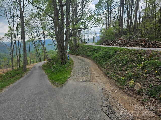 99999 Elk Mountain Scenic Hwy, Asheville, NC 28804
