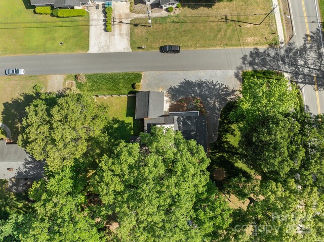 bird's eye view