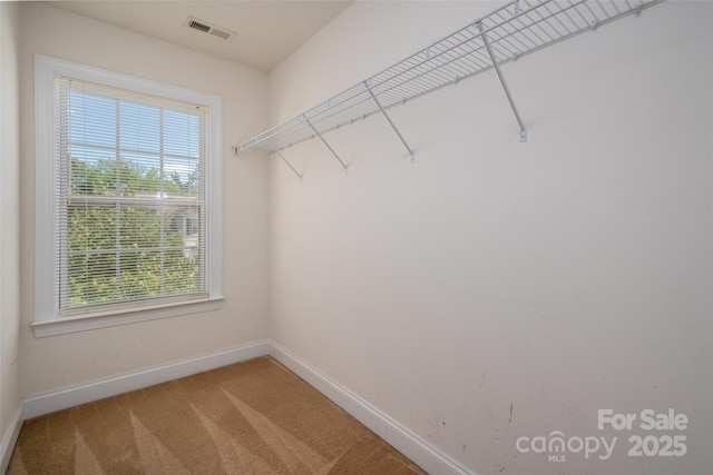 12802 Waterlyn Club Dr, Charlotte, NC 28278 - photo 21