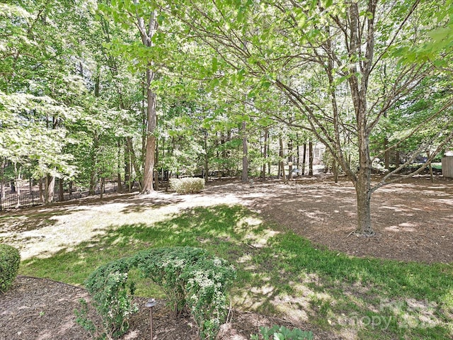 16511 Bridgehampton Club Dr, Charlotte, NC 28277 - view of yard