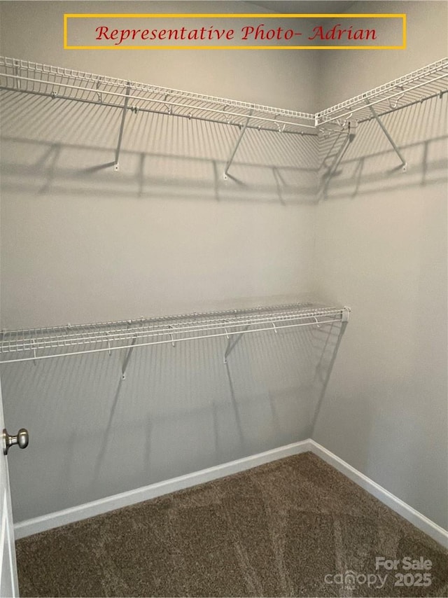 walk in closet with carpet flooring