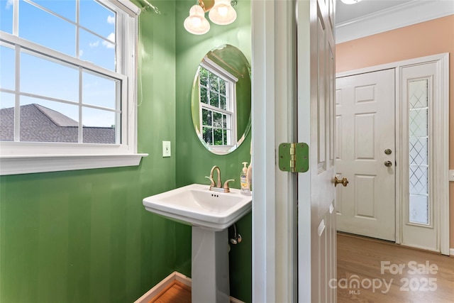 bathroom featuring crown molding, a sink, and wood finished floors