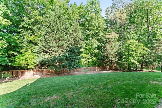 view of yard with a fenced backyard