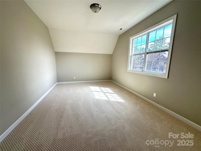 16446 Doves Canyon Ln, Charlotte, NC 28278 - photo 26