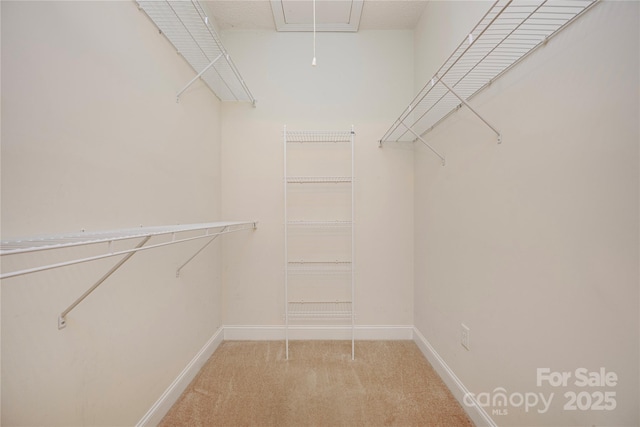 spacious closet with light carpet and attic access