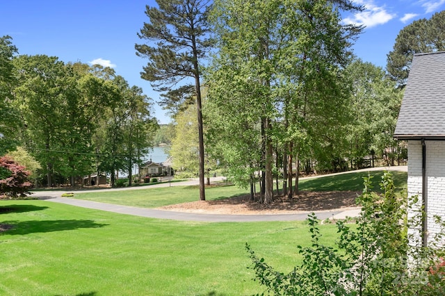 317 Marietta Rd, Mooresville, NC 28117 - photo 30