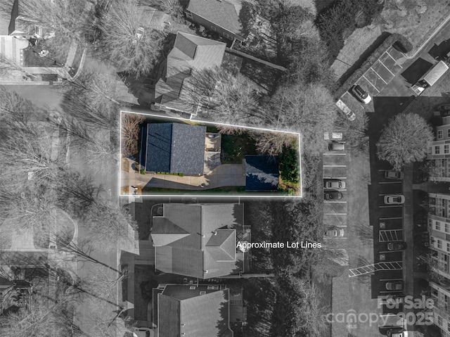 drone / aerial view