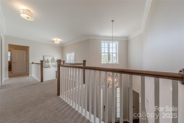 hallway featuring ornamental molding and carpet
