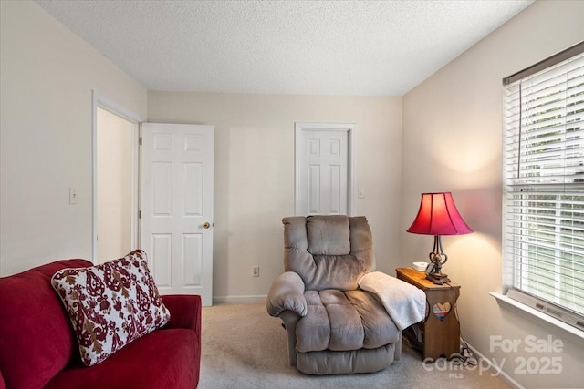 living area featuring baseboards, carpet flooring, and a textured ceiling