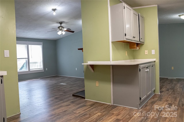 2844 Jamestown Rd Unit 2, Morganton, NC 28655 - kitchen with a textured ceiling, dark wood finished floors, ceiling fan, light countertops, and white cabinets