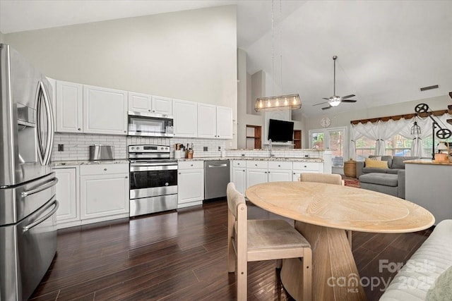 kitchen with appliances with stainless steel finishes, high vaulted ceiling, a peninsula, ceiling fan, and open floor plan