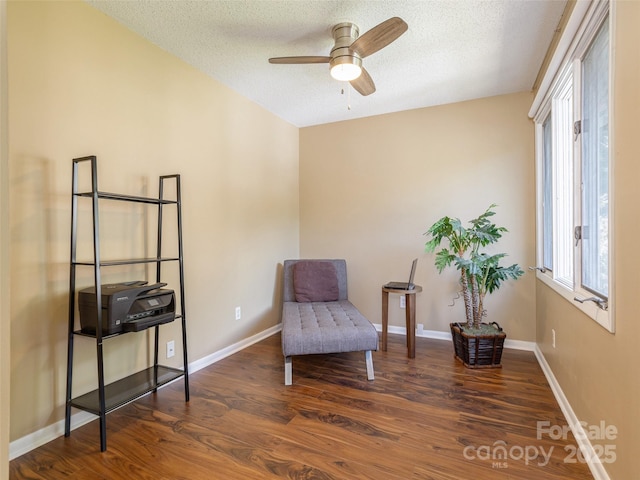 23 Hollybrook Dr, Asheville, NC 28803 - sitting room featuring ceiling fan, a wealth of natural light, and wood finished floors