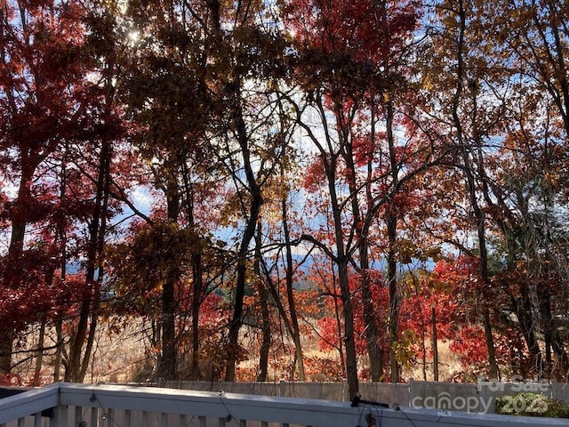 23 Hollybrook Dr, Asheville, NC 28803 - exterior space