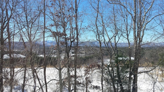 23 Hollybrook Dr, Asheville, NC 28803 - water view featuring a mountain view