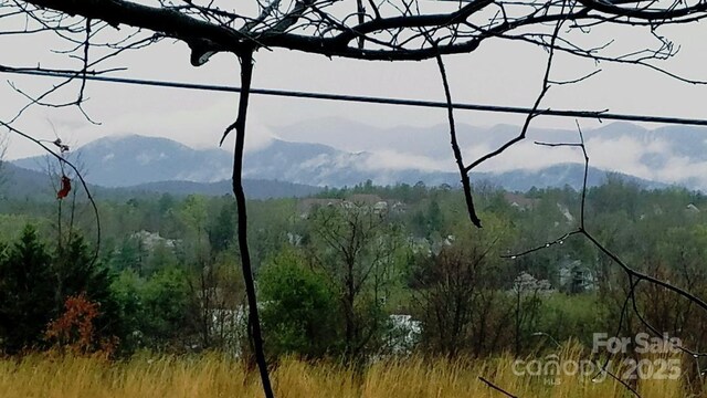 23 Hollybrook Dr, Asheville, NC 28803 - view of mountain feature with a wooded view