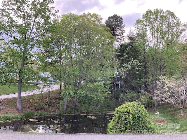23 Hollybrook Dr, Asheville, NC 28803 - exterior space