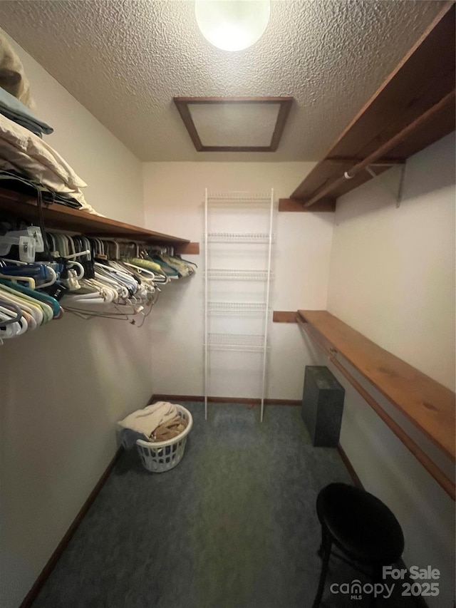 1502 Shelby Hwy, Cherryville, NC 28021 - walk in closet with carpet flooring and attic access