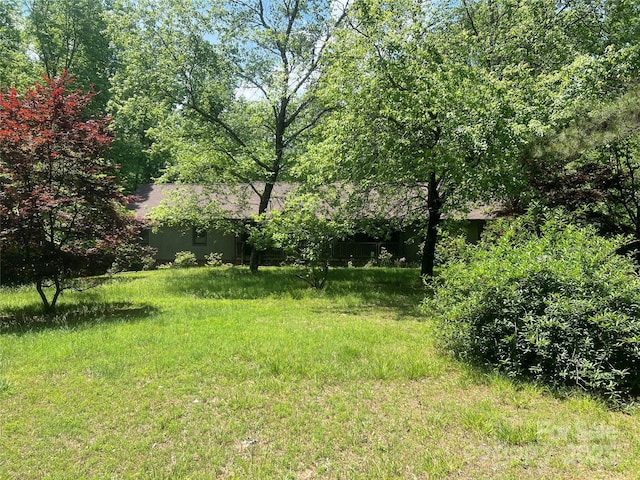 1502 Shelby Hwy, Cherryville, NC 28021 - view of yard
