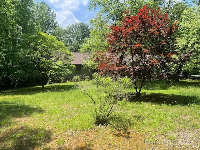 1502 Shelby Hwy, Cherryville, NC 28021 - view of yard