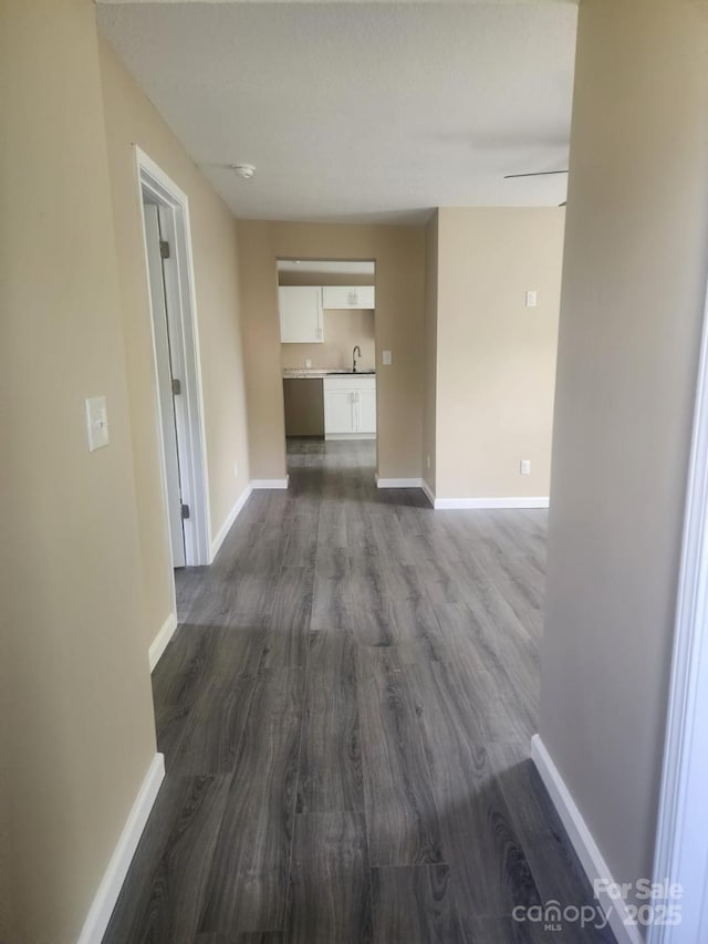 interior space featuring a sink, baseboards, and dark wood-type flooring