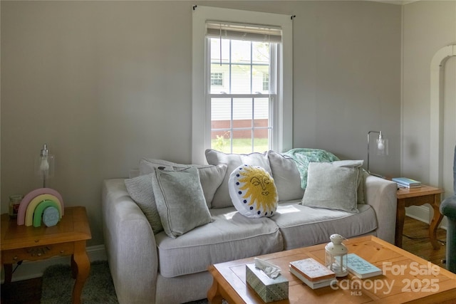 living area featuring a wealth of natural light