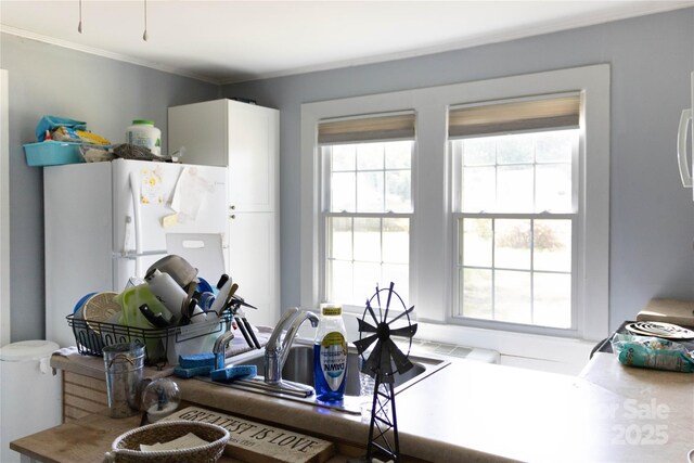 kitchen with plenty of natural light, freestanding refrigerator, and ornamental molding