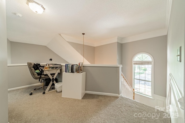 4201 Beauvista Dr, Charlotte, NC 28269 - unfurnished office with ornamental molding, carpet flooring, and a textured ceiling