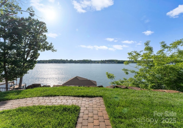 249 Landing Trl, Mount Gilead, NC 27306 - view of water feature