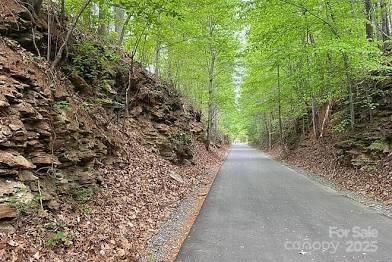view of road with a forest view