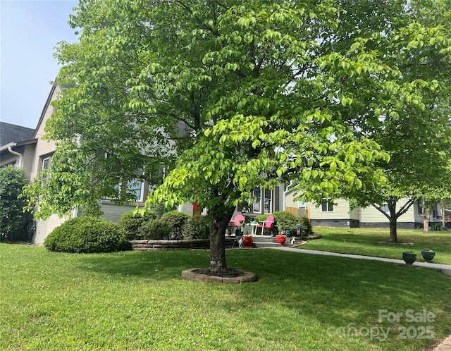 130 Arlington St, Forest City, NC 28043 - view of green lawn