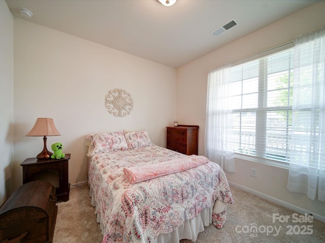 6266 Swanport Rd, Lancaster, SC 29720 - bedroom featuring light carpet and baseboards