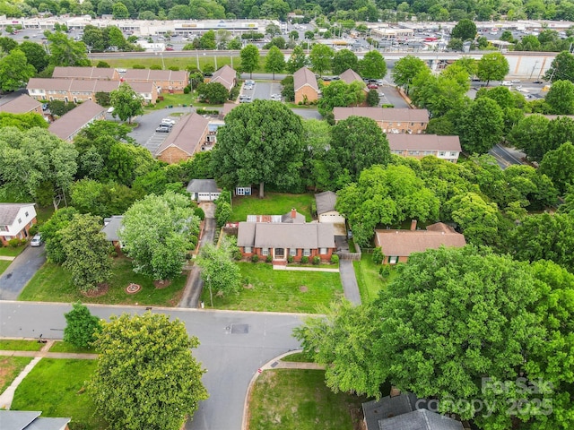 bird's eye view