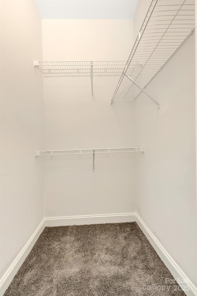 514 Rich St, Rock Hill, SC 29730 - spacious closet with carpet