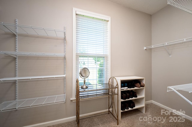 102 W Farm Creek Dr, Asheville, NC 28806 - photo 22